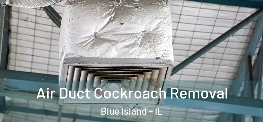  Air Duct Cockroach Removal Blue Island - IL