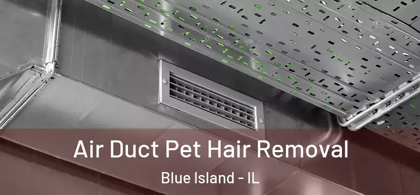  Air Duct Pet Hair Removal Blue Island - IL