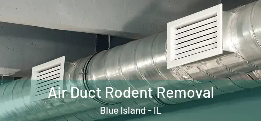 Air Duct Rodent Removal Blue Island - IL