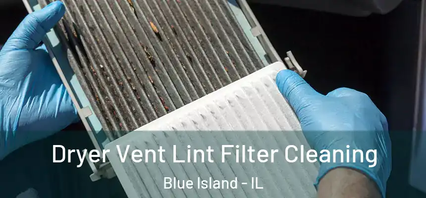  Dryer Vent Lint Filter Cleaning Blue Island - IL