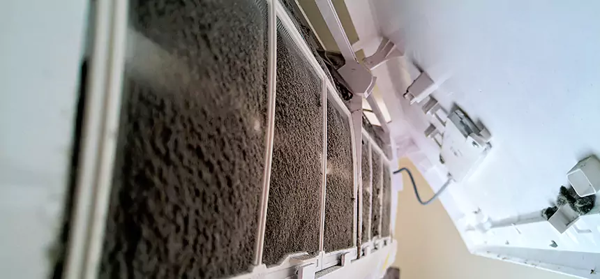 Preventive Air Duct Bacteria Removal in Blue Island