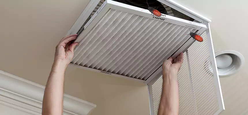 Preventive Cockroach-Proofing for Ducts in Blue Island