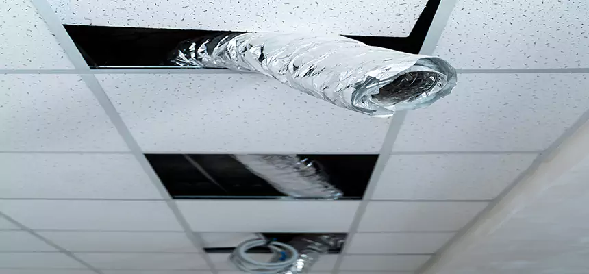 Affordable HVAC Sanitizing After Pest Removal in Blue Island