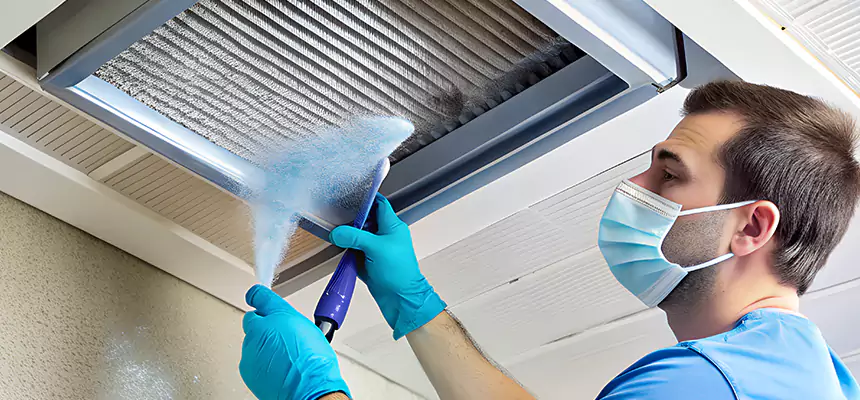 Proactive Dryer Vent & Auxiliary Duct Pollen Cleanup in Blue Island, IL