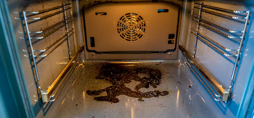 Our Dryer Vent Mold Cleaning Services in Blue Island, IL