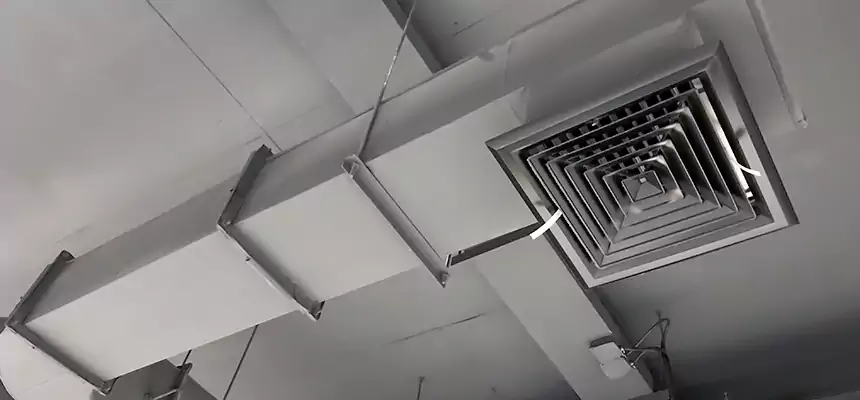 Our Pest Removal From Ducts Services in Blue Island, IL