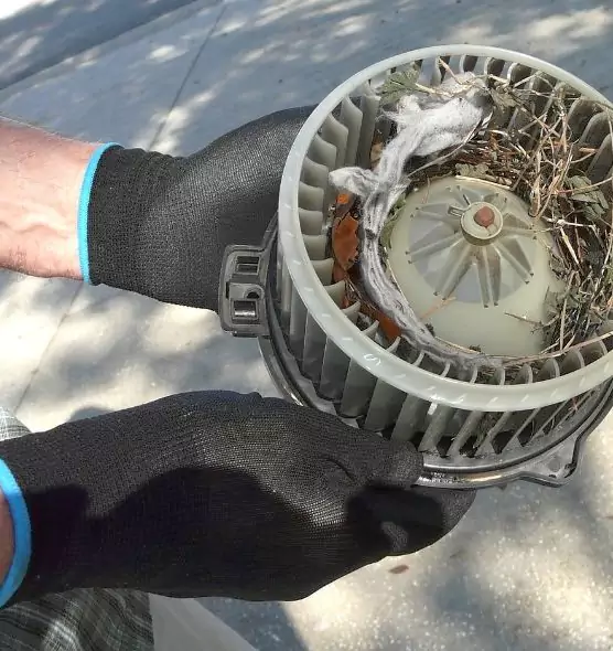 About Air Duct Mice Removal in Blue Island, IL