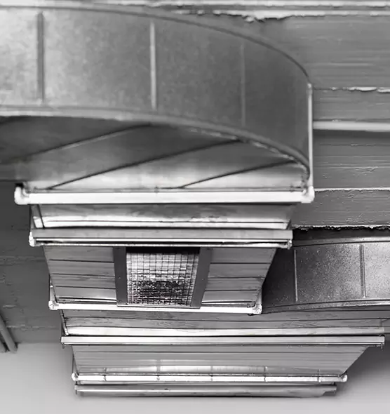 Professional Air Duct Pest Removal in Blue Island, IL