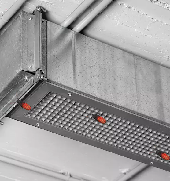 Affordable Insect Removal from Air Ducts in Blue Island, IL