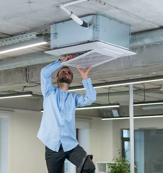 Advanced Rodent Droppings In Vents in Blue Island, IL