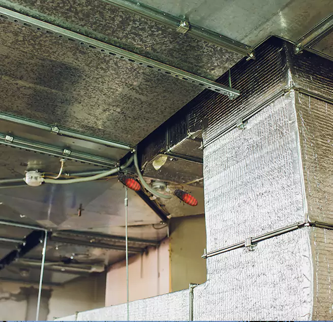 Why Homeowners & Businesses Trust Us in Blue Island, IL?