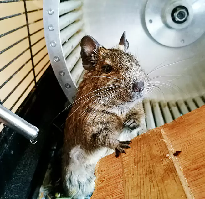 Why Homeowners & Businesses Trust Us Blue Island, IL