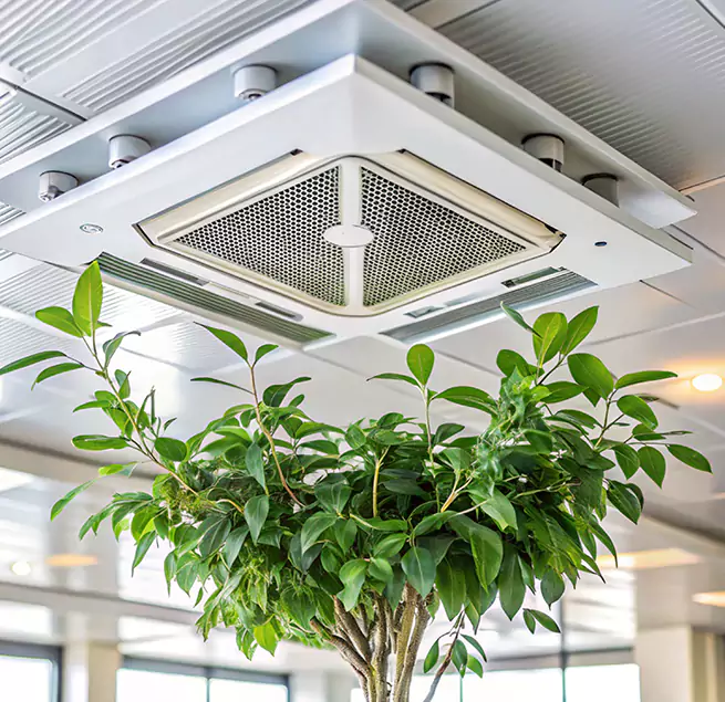 Why Homeowners & Businesses Trust Us in Blue Island, IL