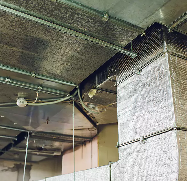 Why Homeowners & Businesses Trust Us in Blue Island, IL?